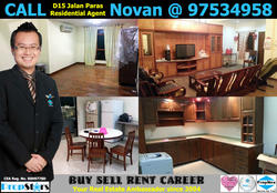 Yong Seng Estate (D14), Terrace #123267862
